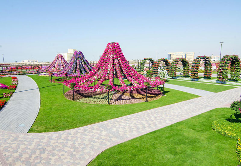 Miracle Garden Project Opens At Dubailand Construction Week Online Miracle Garden Project Opens At Dubailand Construction Week Online