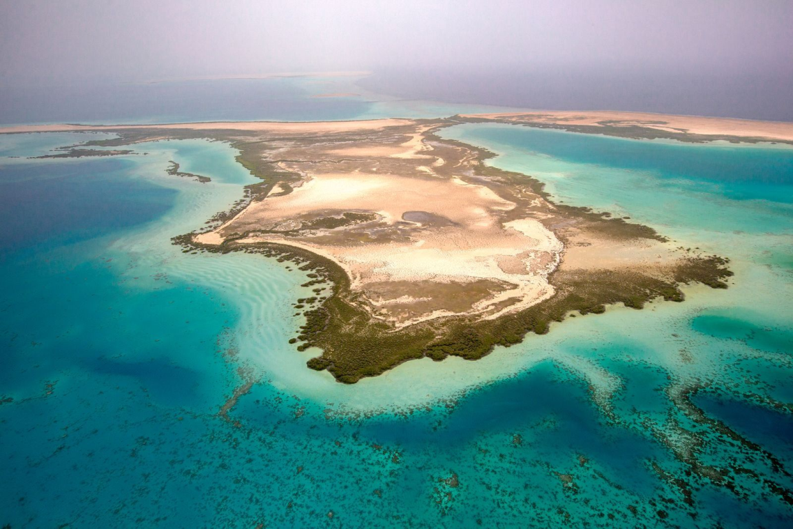 Scientific paper details marine spatial planning at Red Sea project