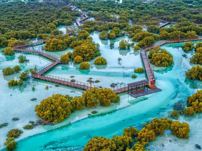 Abu Dhabi’s Jubail Mangrove Park attracts record number of visitors ...
