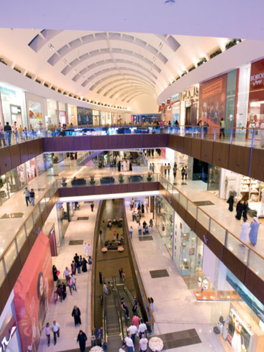 shop til you drop business projects