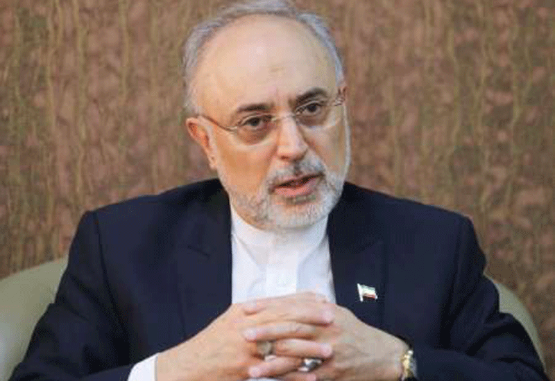 Ali Akbar Salehi, Vice President of Iran and head of Atomic Energy Organisation of Iran (AEOI). Pic courtesy: IRNA. Ali Akbar Salehi, Vice President of Iran and head of Atomic Energy Organisation of Iran (AEOI). Pic courtesy: IRNA.