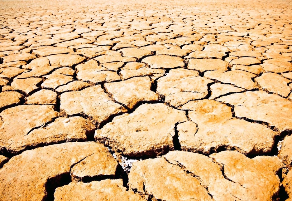 77% of respondents agreed in a commitment to the implementation of measures to reduce greenhouse gases would improve the economic and job situation in the GCC. 77% of respondents agreed in a commitment to the implementation of measures to reduce greenhouse gases would improve the economic and job situation in the GCC.