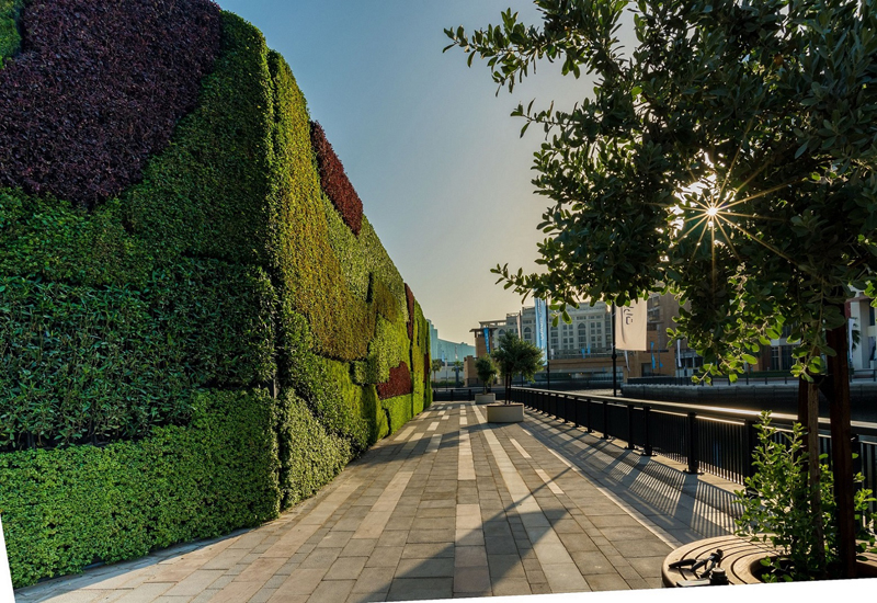 Living green wall at Dubai Wharf. Living green wall at Dubai Wharf.