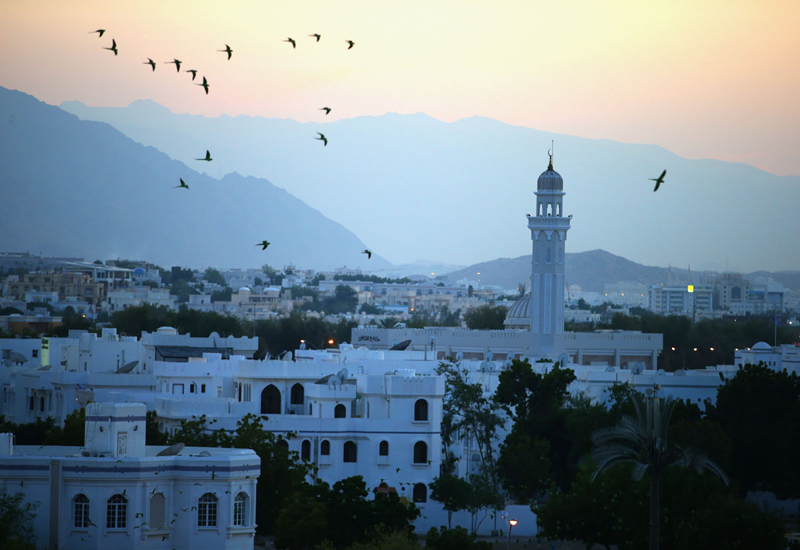 Muscat recorded a 11.9% increase taking the number of allotted plots to 1,004. Muscat recorded a 11.9% increase taking the number of allotted plots to 1,004.