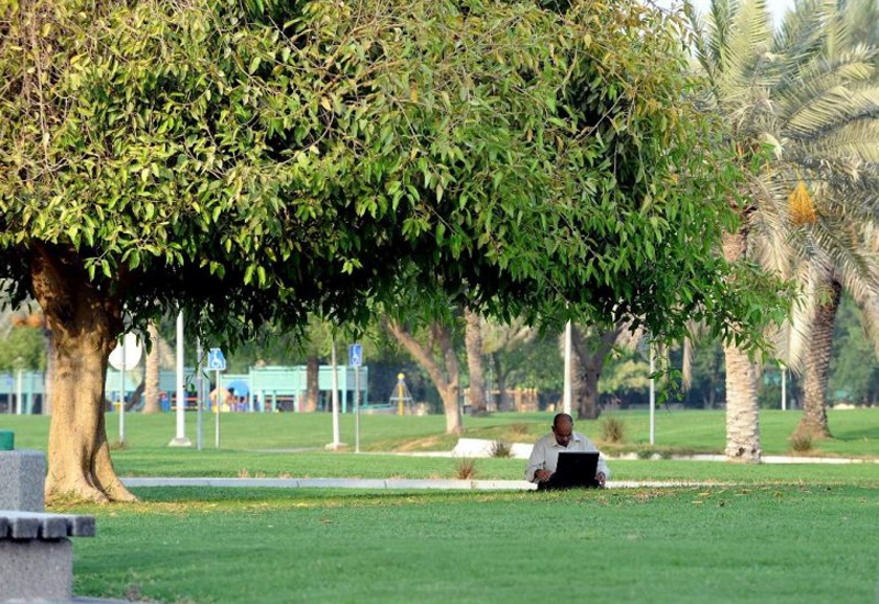 File photo of a man browsing the internet at a park near the Sheraton Hotel in Doha. (The Peninsula) File photo of a man browsing the internet at a park near the Sheraton Hotel in Doha. (The Peninsula)