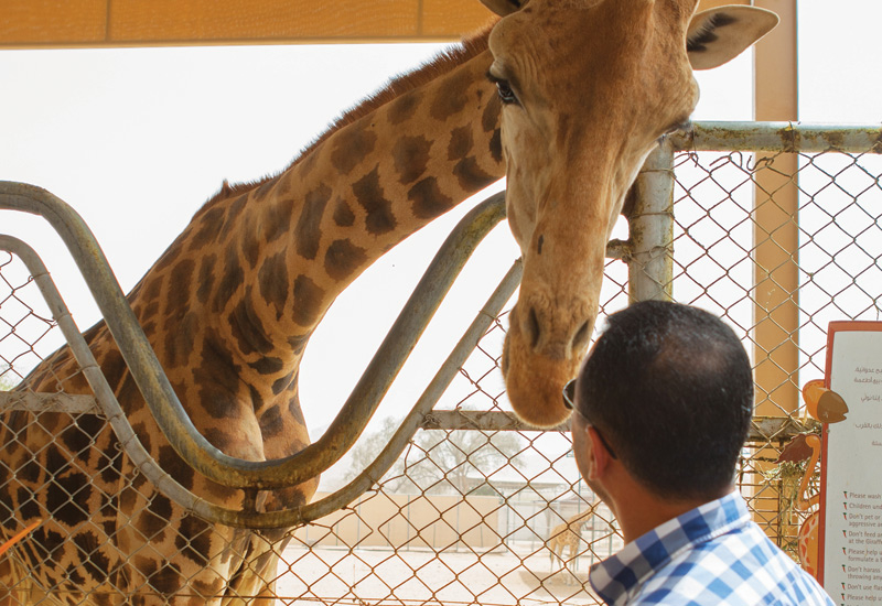 Al Ain Zoo is being extended to include new safari-style zones. Al Ain Zoo is being extended to include new safari-style zones.