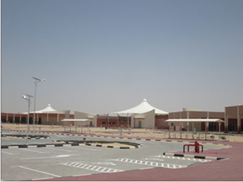 Birds And Pets Market Completed In Dubai Projects And Tenders Construction Week Online