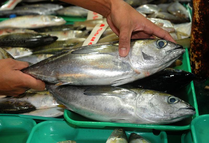 NEWS, Projects, Deira fish market NEWS, Projects, Deira fish market