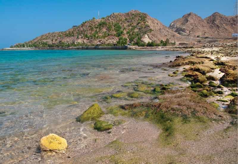 Fujairah. Fujairah.
