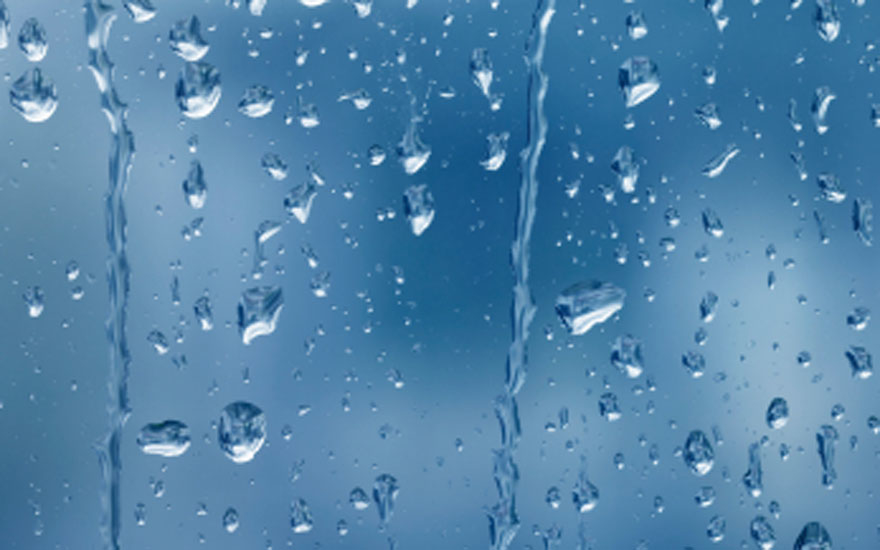 NEWS, Business, Emirates Glass, Glass, Saudi American Glass, VitroGlaze NEWS, Business, Emirates Glass, Glass, Saudi American Glass, VitroGlaze
