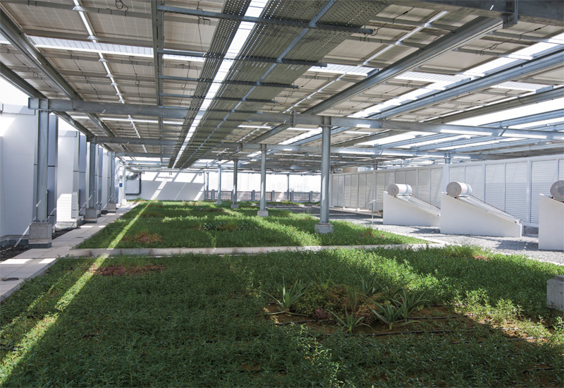 Site Visit Dewa Sustainable Building Products And Services Projects And Tenders Construction Week Online