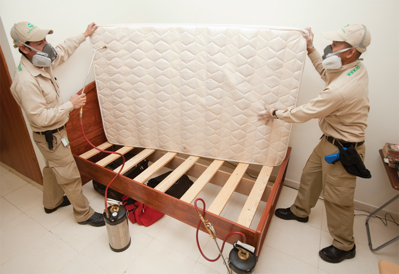 Workers from National Pest Control inspect a mattress for bed bugs. Workers from National Pest Control inspect a mattress for bed bugs.