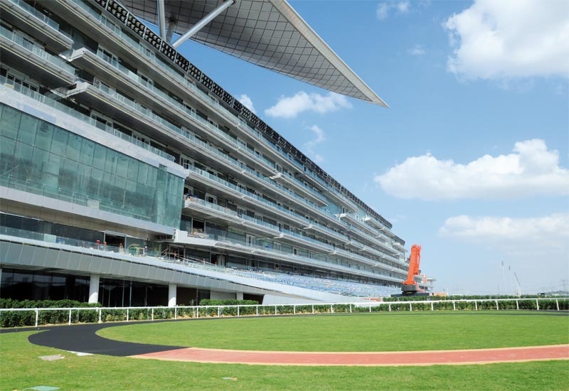 The Meydan racecourse in Dubai is the largest in the world. The Meydan racecourse in Dubai is the largest in the world.