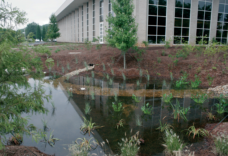 Water-efficient landscaping Water-efficient landscaping