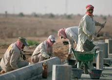 The habit of awarding contracts to the lowest bidder is undermining safety and quality The habit of awarding contracts to the lowest bidder is undermining safety and quality