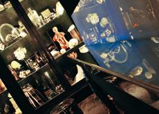 Glass cabinets are filled with the remnants of medical experiments. Glass cabinets are filled with the remnants of medical experiments.