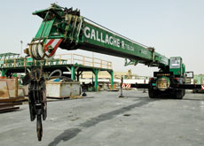 Gallagher International, ANALYSIS, PMV Gallagher International, ANALYSIS, PMV