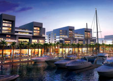 Night view of the marina. Night view of the marina.