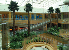 Plants and products: interior landscaping is becoming more and more important, as projects and developments start to appreciate the impact a green env Plants and products: interior landscaping is becoming more and more important, as projects and developments start to appreciate the impact a green env