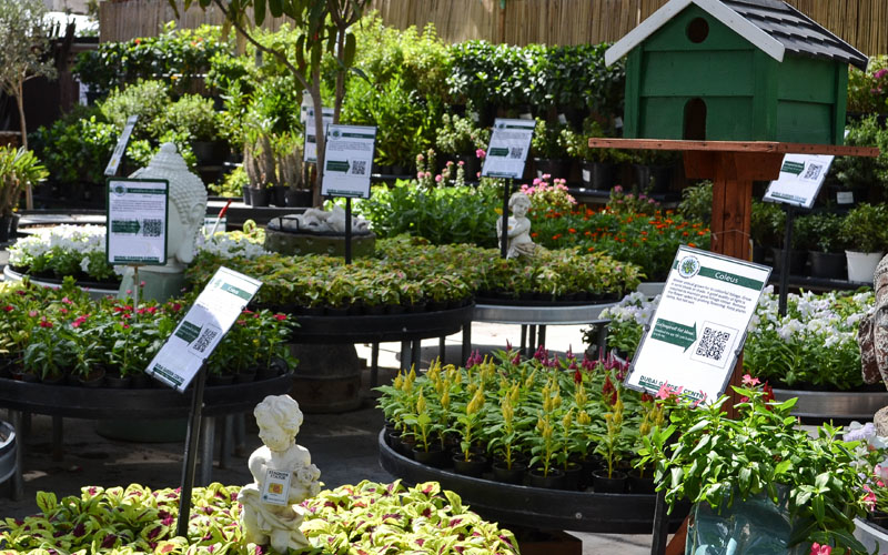 Profile: Dubai Garden Centre - - Construction Week Online