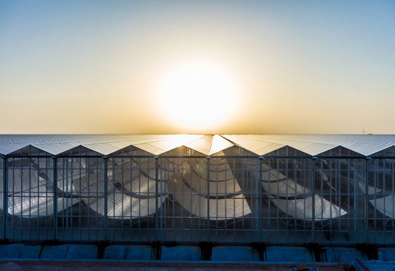 Phase 1 of Miraah, a solar project jointly developed by PDO and Glass Point, opened last year. Phase 1 of Miraah, a solar project jointly developed by PDO and Glass Point, opened last year.