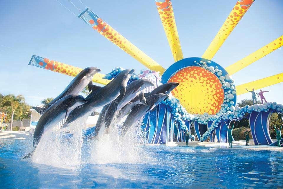 Seaworld Abu Dhabi is among Miral's planned projects for Yas Island. Seaworld Abu Dhabi is among Miral's planned projects for Yas Island.