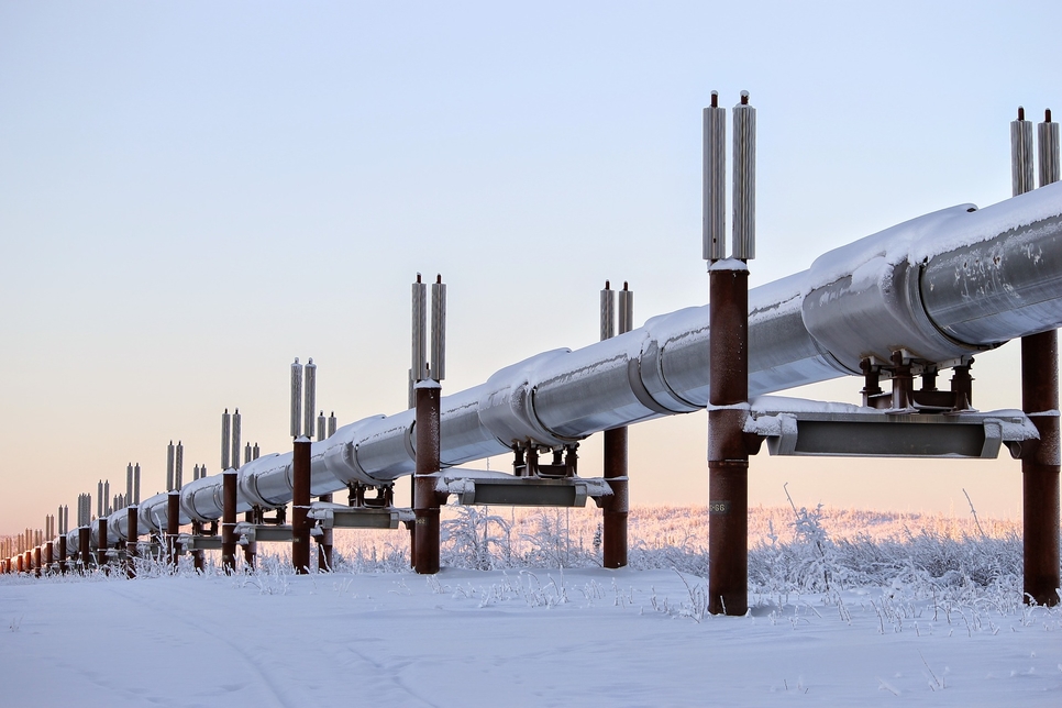 Arkad will no longer work on the Bulgarian pipeline. Arkad will no longer work on the Bulgarian pipeline.
