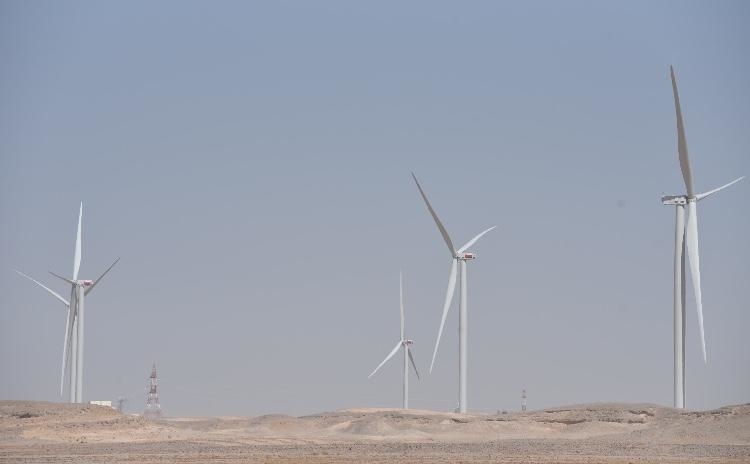 The wind farm will power 16,000 homes. The wind farm will power 16,000 homes.