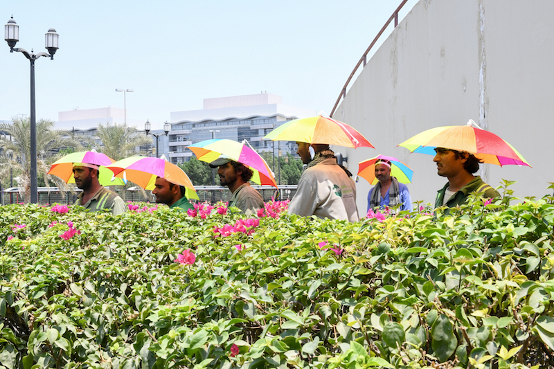 GWU's campaign focuses on outdoor workers in Abu Dhabi. GWU's campaign focuses on outdoor workers in Abu Dhabi.