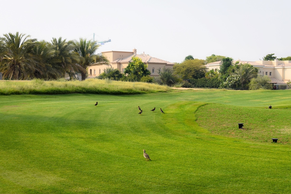 Arabian Ranches Golf Club course. Arabian Ranches Golf Club course.
