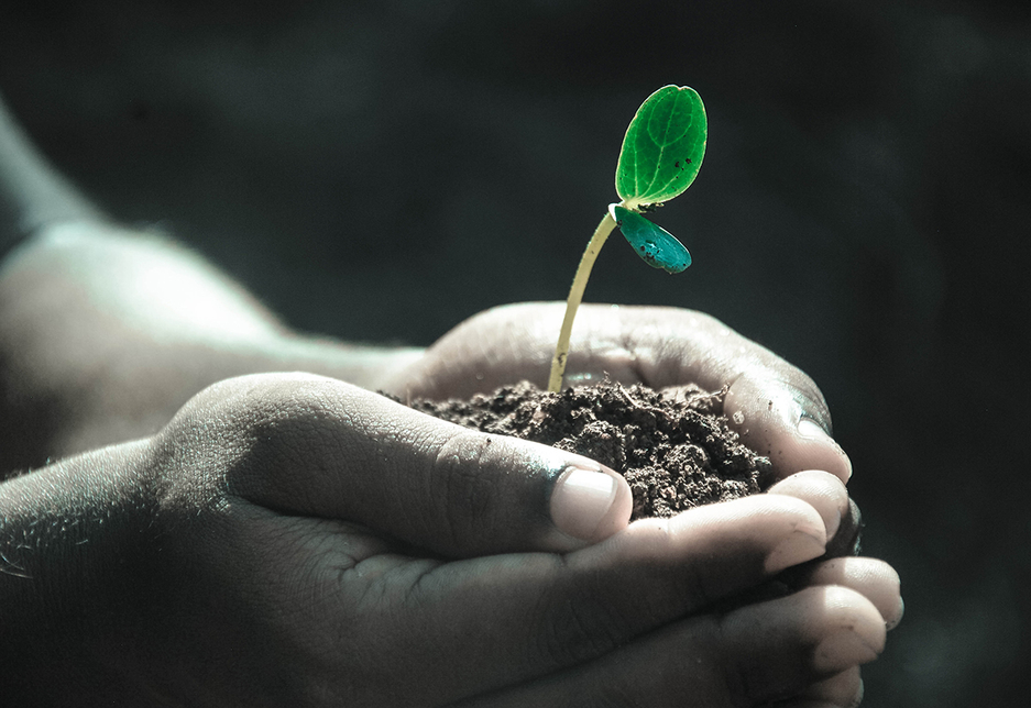 The significance of CSR is growing in the GCC. The significance of CSR is growing in the GCC.