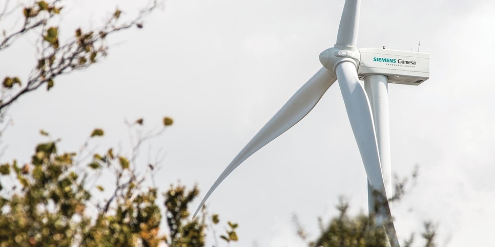 Siemens Gamesa will install 96 units of SG 2.6-114 wind turbines. Siemens Gamesa will install 96 units of SG 2.6-114 wind turbines.