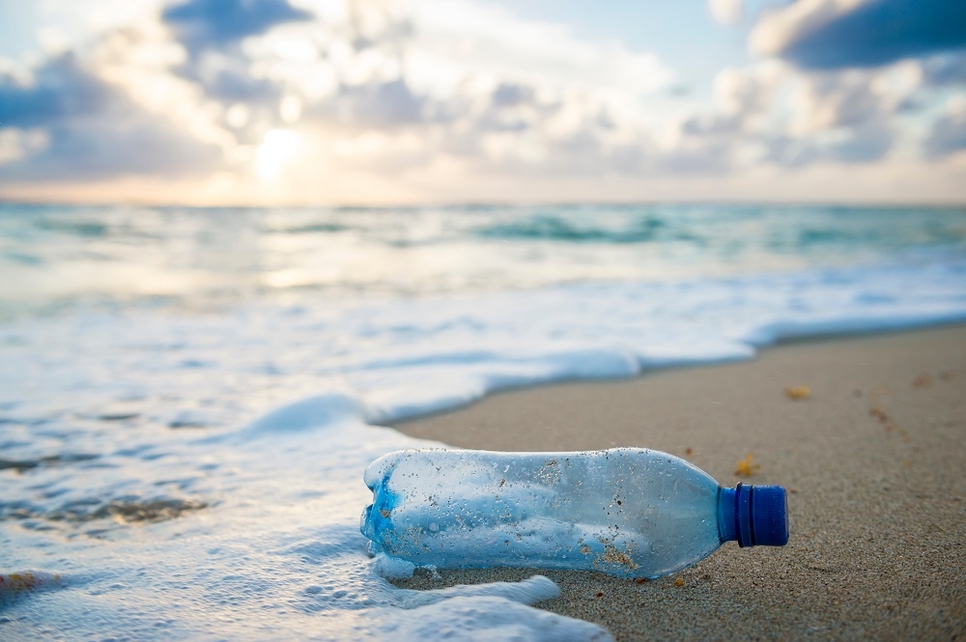 The negative effects of single-use plastic on the environment is huge. The negative effects of single-use plastic on the environment is huge.