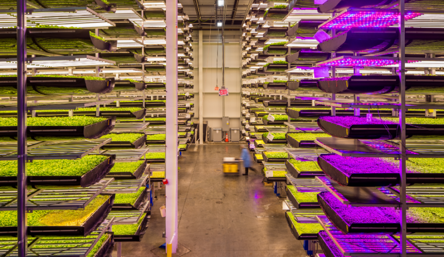 AeroFarms to build world's largest indoor vertical farm in Abu Dhabi AeroFarms to build world's largest indoor vertical farm in Abu Dhabi
