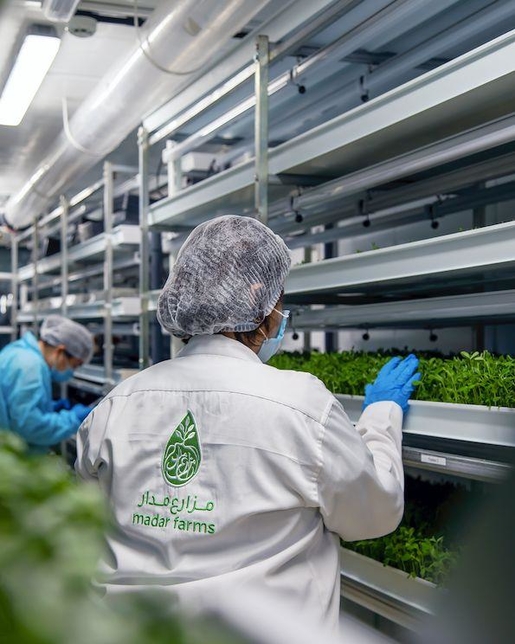 Madar Farms to construct first-of-its-kind indoor facility Madar Farms to construct first-of-its-kind indoor facility