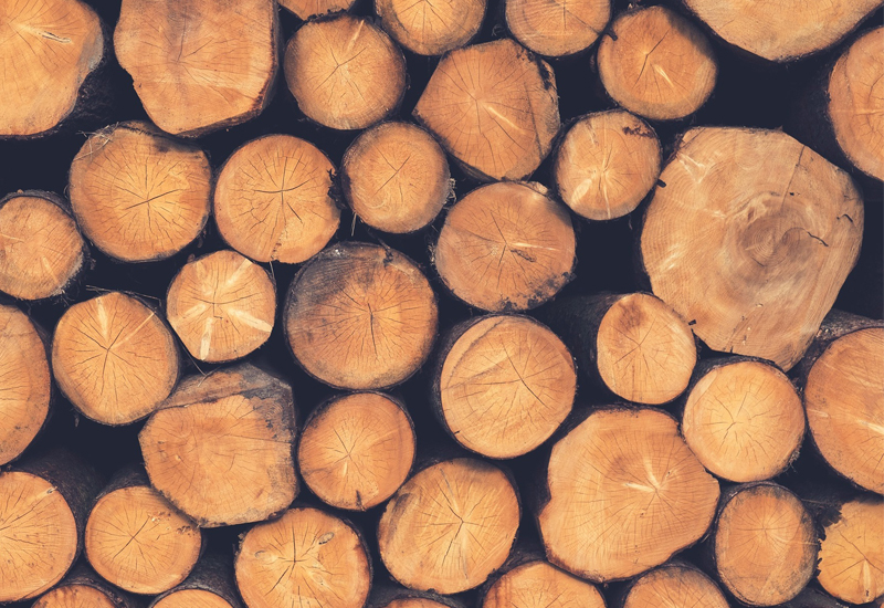 Timber is one of many benefits in boosting the construction industry, according to Emily Folks Timber is one of many benefits in boosting the construction industry, according to Emily Folks