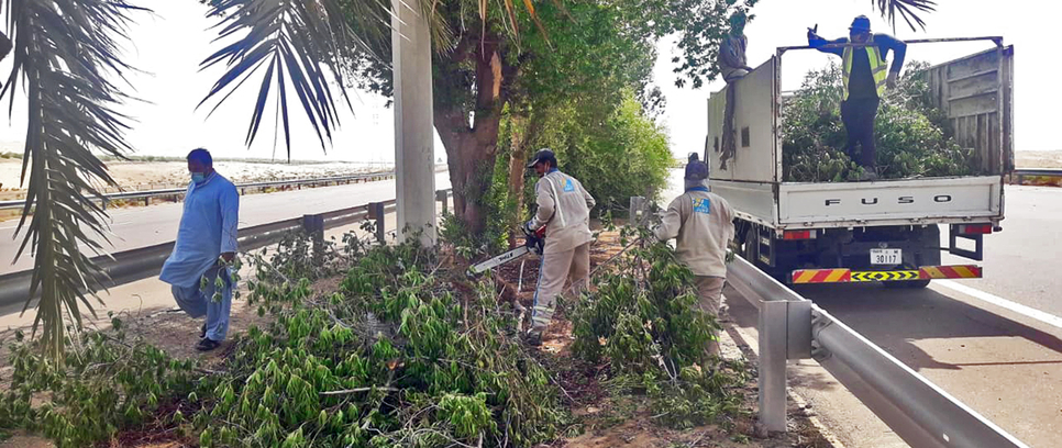 ADM trims more than 8,247 trees for road safety, beautification ADM trims more than 8,247 trees for road safety, beautification
